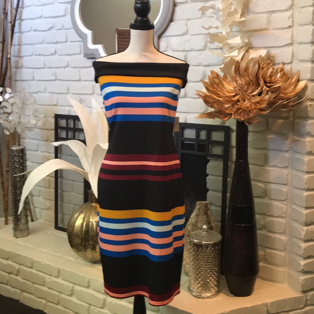 Belle and Sky modern striped fitted dress!